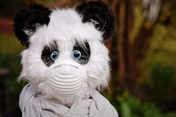 NoxWin Casino Suporte